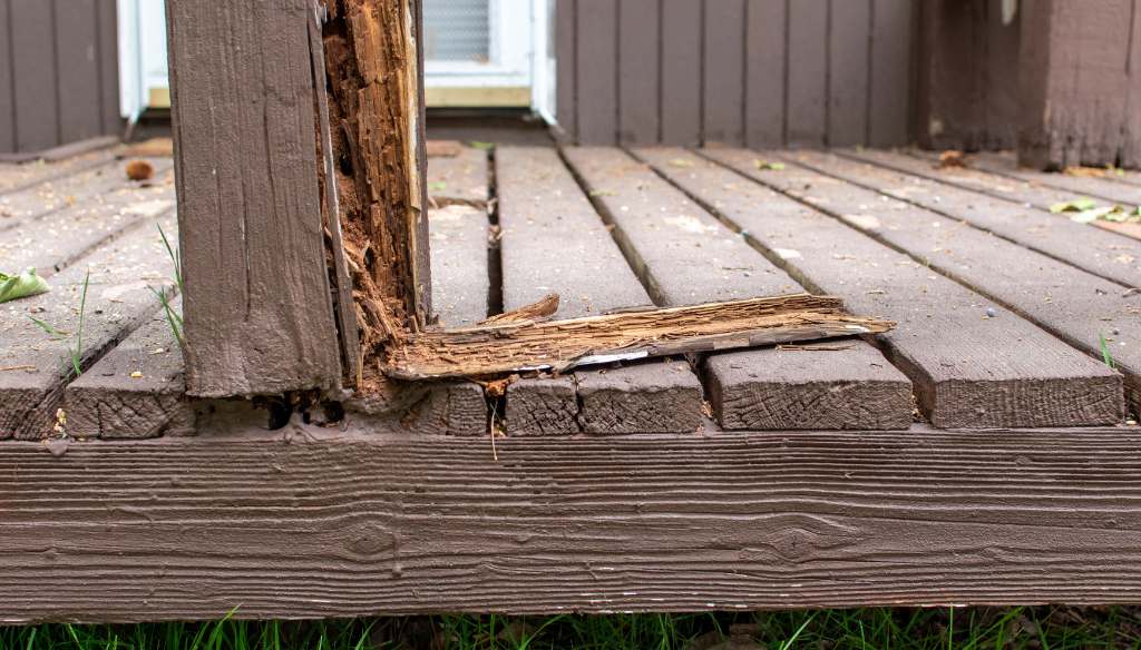 Repair Rotted Boards or Posts